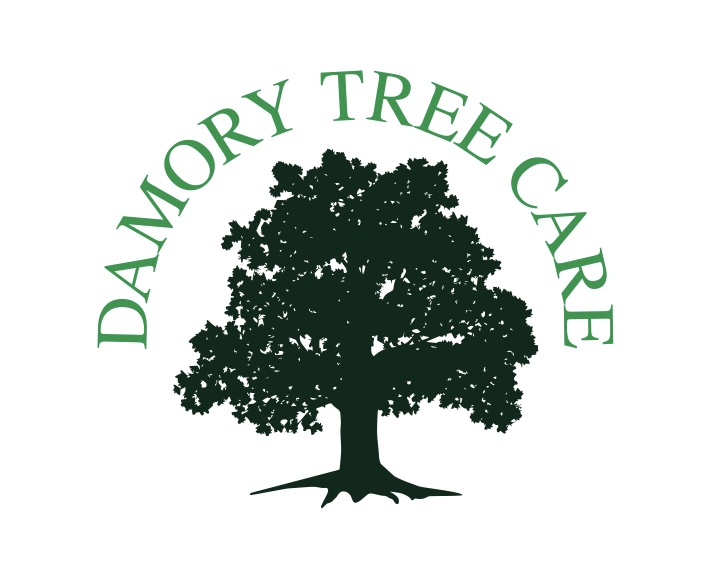 Logo of Damory tree care
