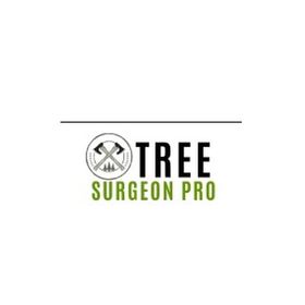 Logo of Tree Surgeon Pro