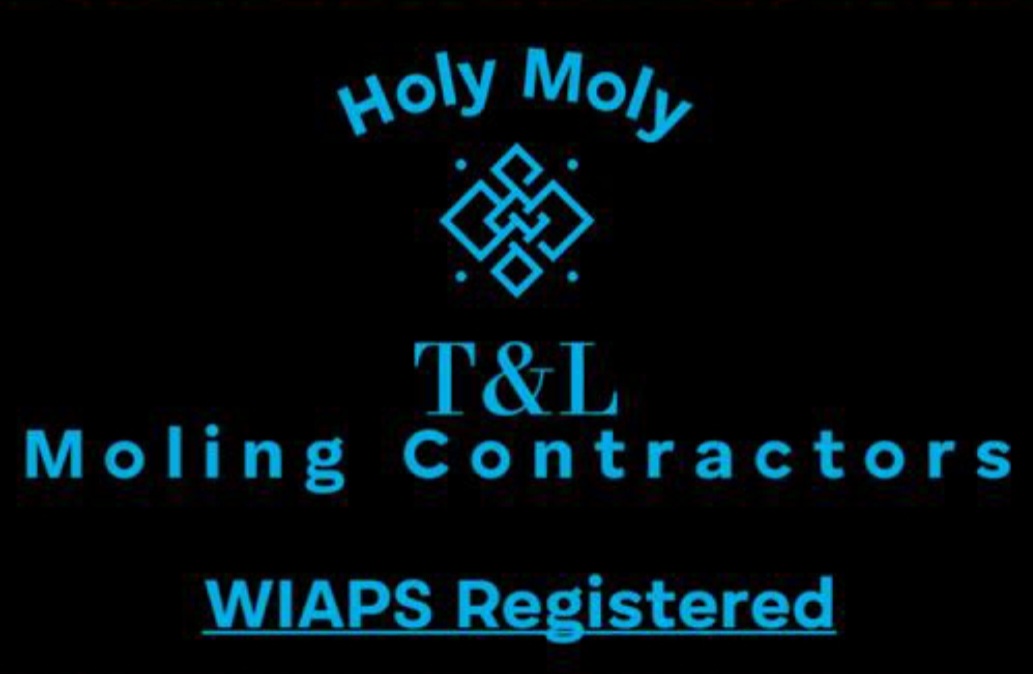 Logo of T&L Property Contractors Water Companies In Guildford, Surrey Logo of T&L Property Contractors Water Companies In Guildford, Surrey