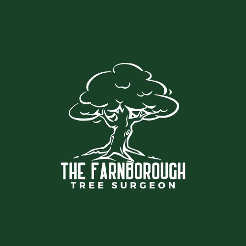 Logo of The Farnborough Tree Surgeon Tree Surgeon In Farnborough, Hampshire Logo of The Farnborough Tree Surgeon Tree Surgeon In Farnborough, Hampshire