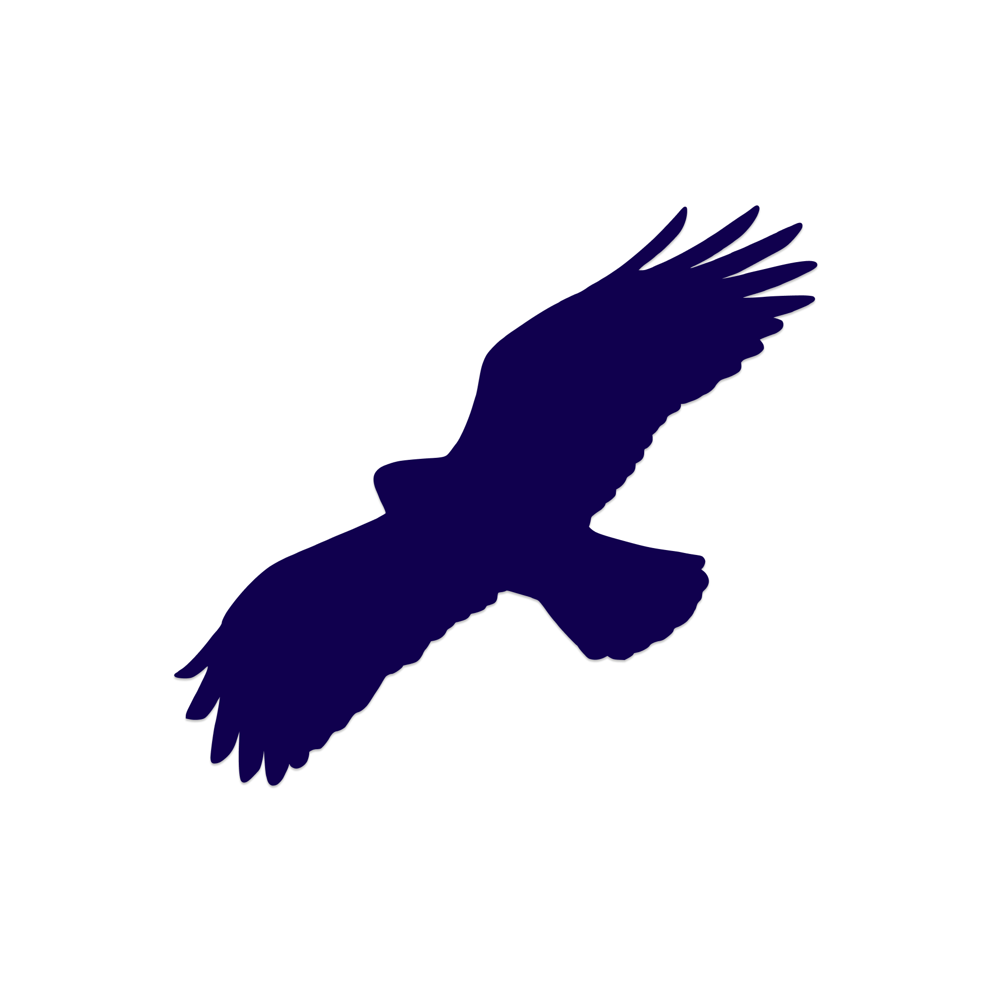 Logo of Buzzard Lifting Haulage Ltd