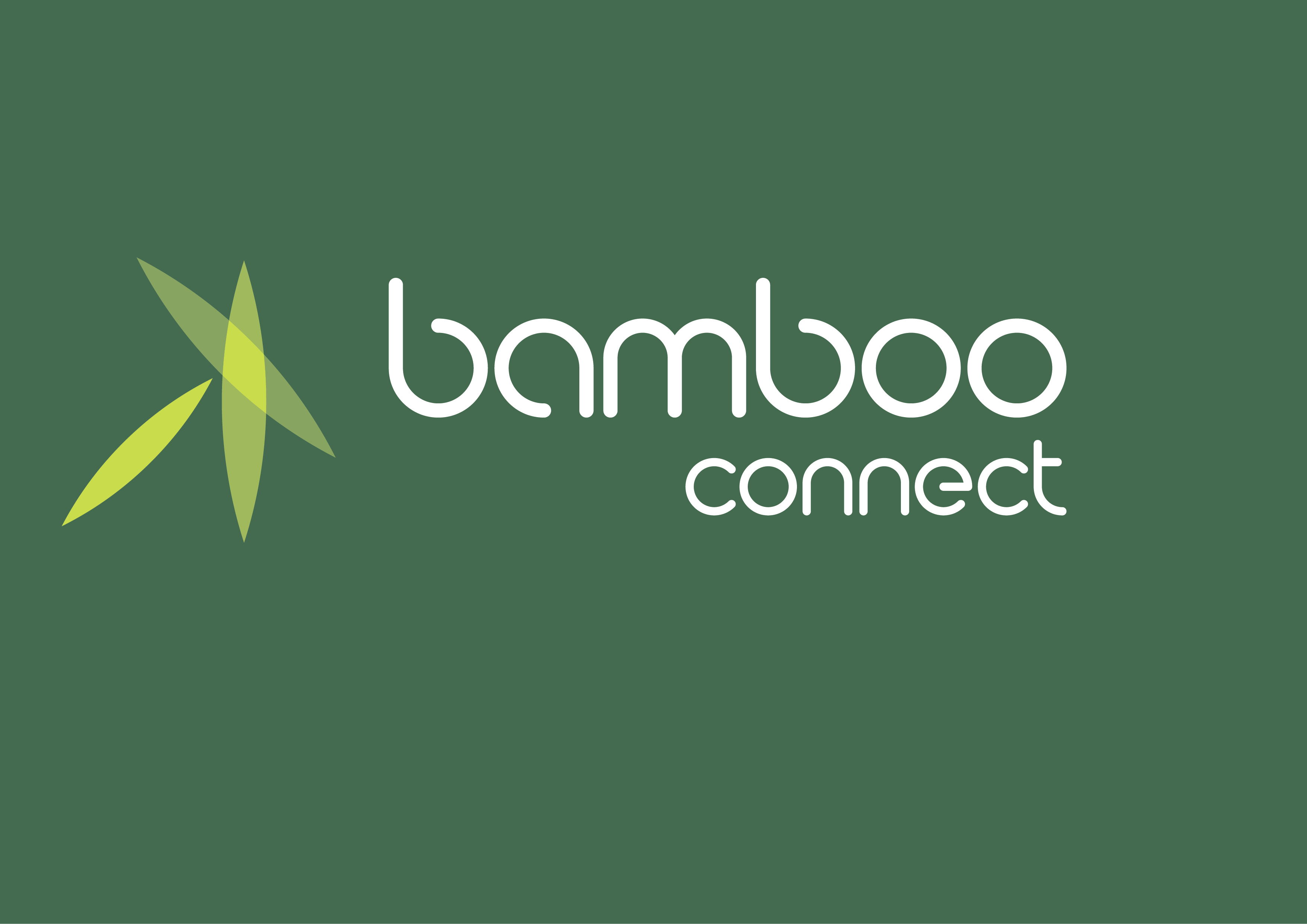 Logo of Bamboo Connect Telecommunication Services In Waltham Cross, Hertfordshire
