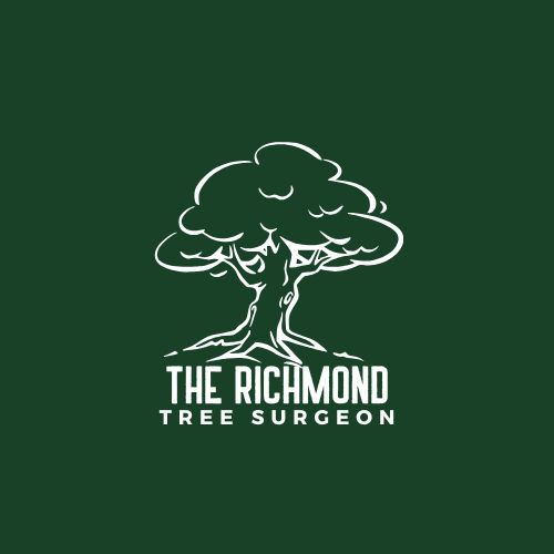 Logo of The Richmond Tree Surgeon Tree Surgeon In Richmond, Greater London