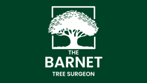 Logo of The Barnet Tree Surgeon