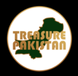 Logo of Treasure Pakistan