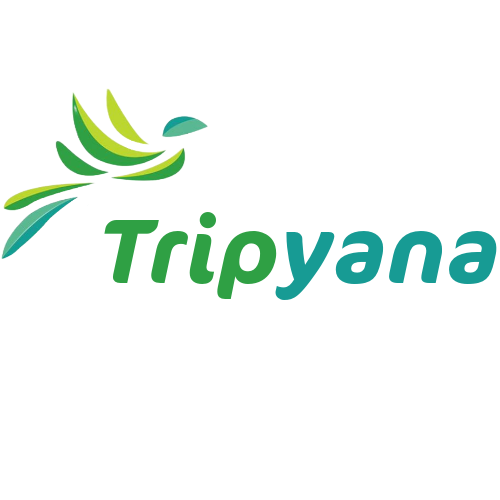 Logo of Tripyana Ltd