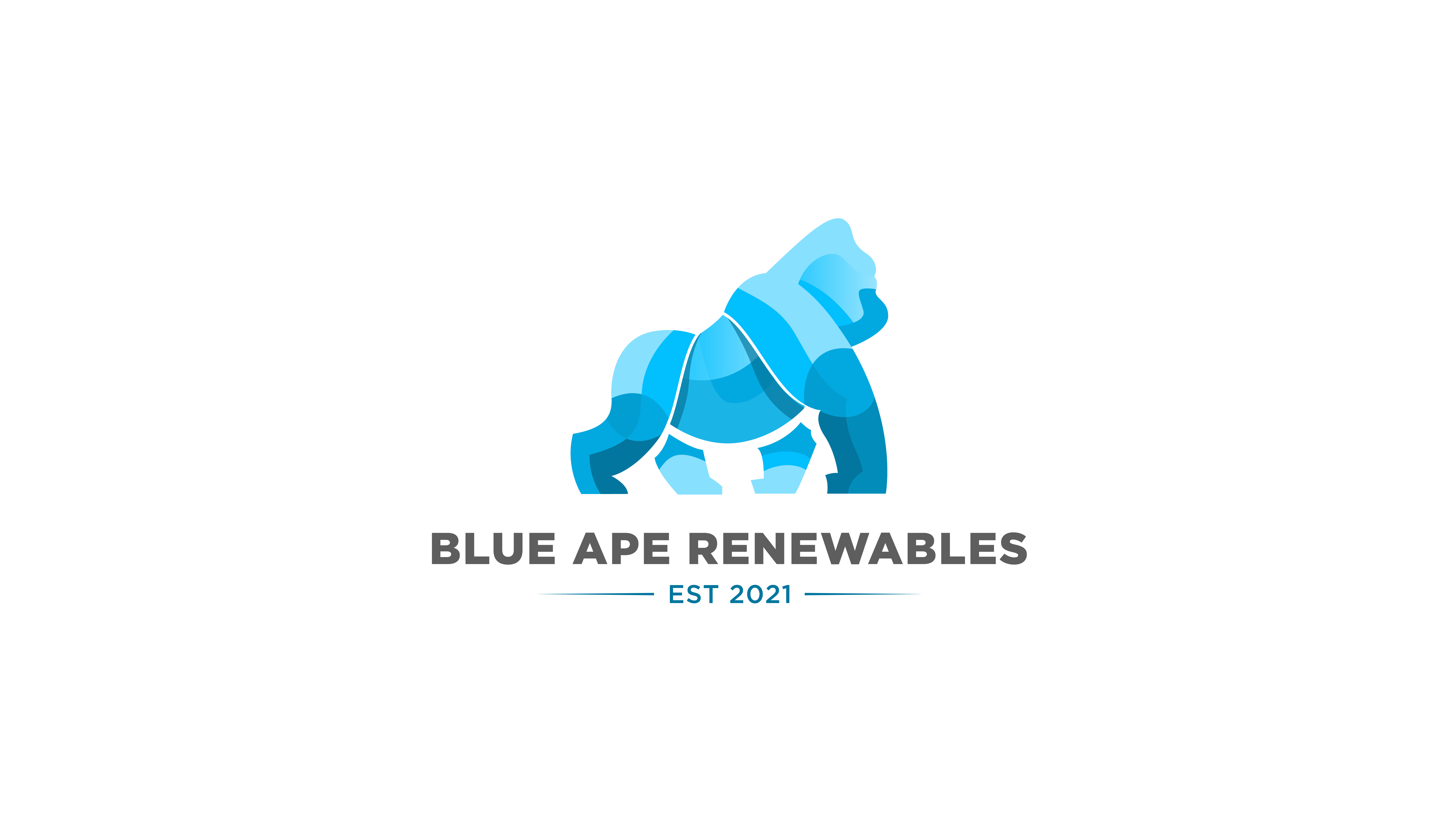 Logo of Blue Ape Renewables