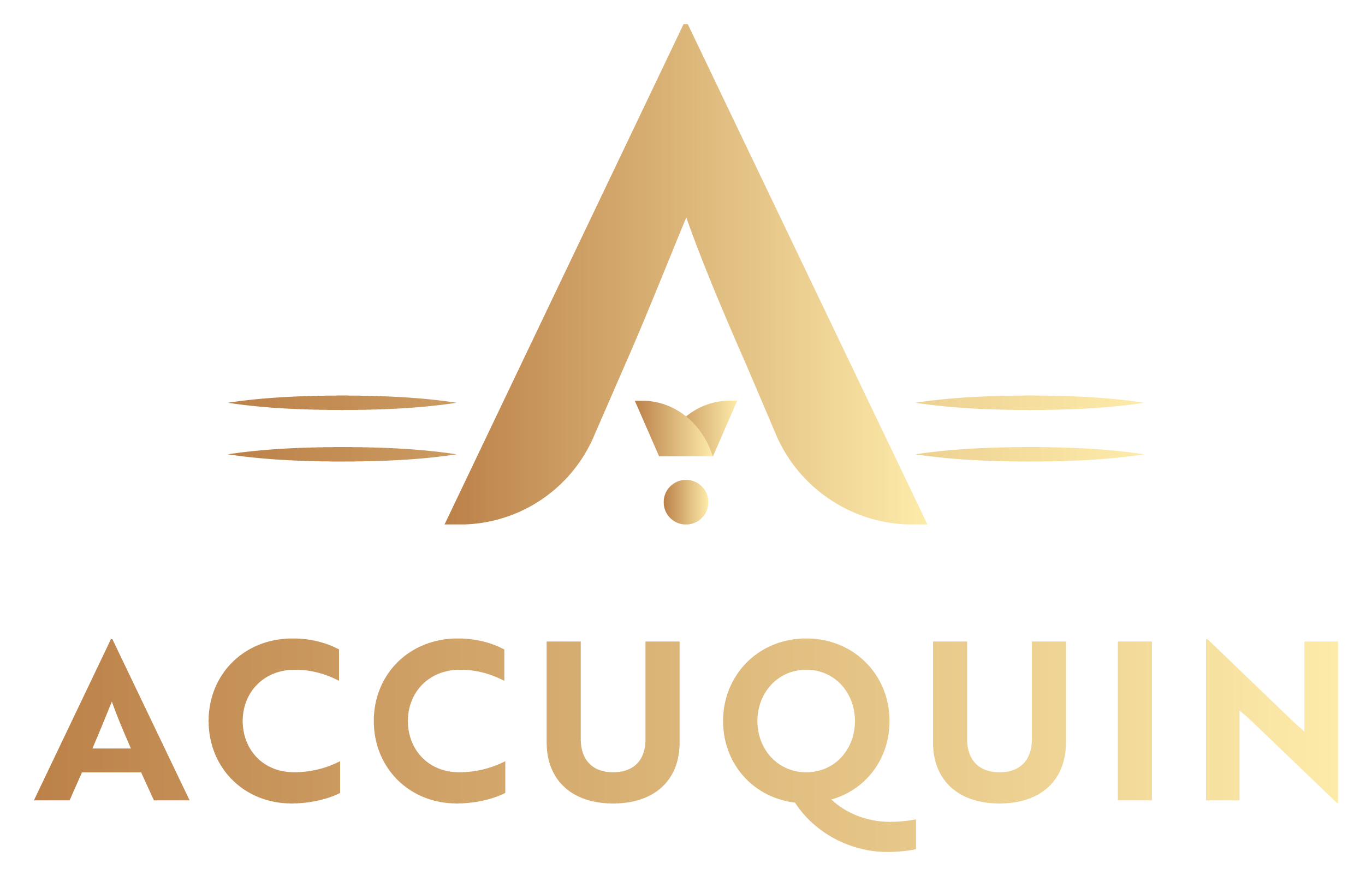 Logo of Accuquin Ltd Bookkeeping And Accountants In Dingwall, Ross Shire