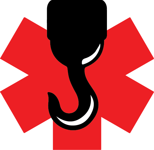 Logo of Lifeline Rescue Solutions