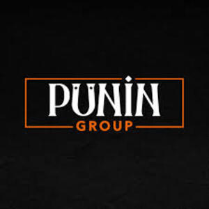 Logo of Puningroup