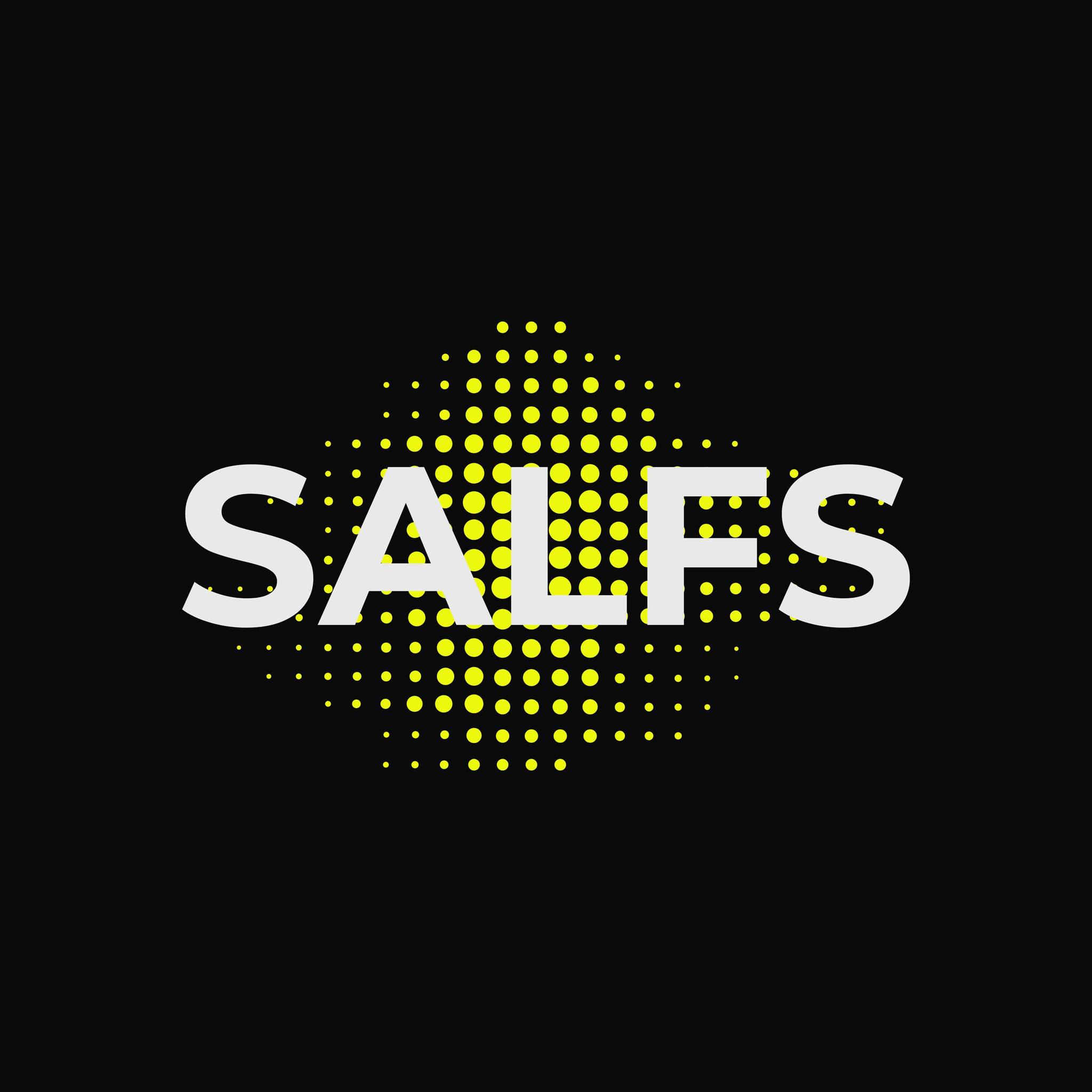 Logo of SALFS Security Ltd