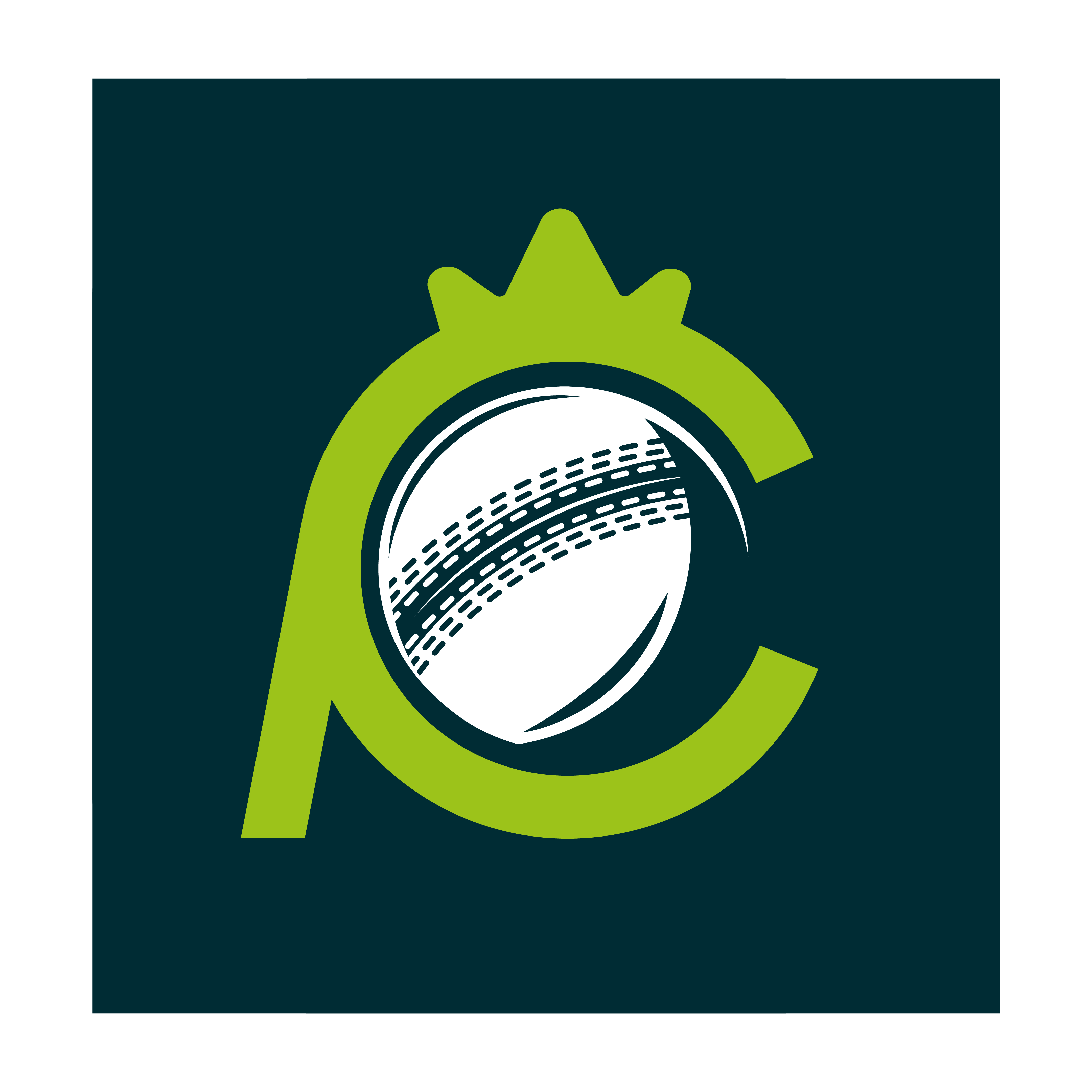 Logo of CricProZone