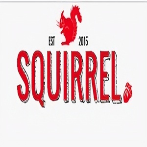 Logo of Squirrel A store of buried treasure